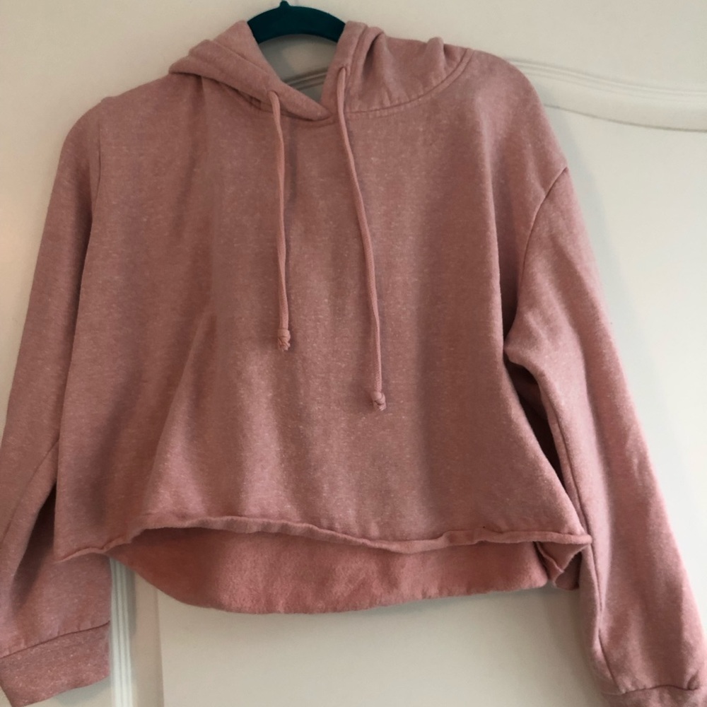 From Pac sun

 light pink cropped hoodie 

LA Heart brand